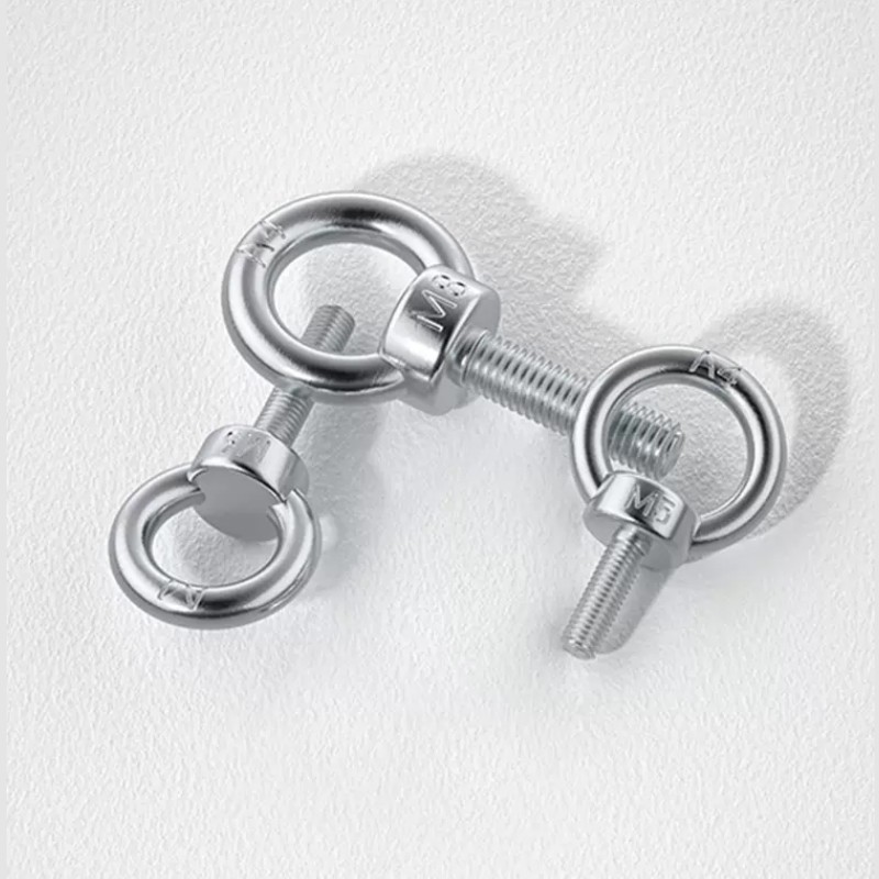 SS Eye Bolts M4 M8 M10 DIN580 Female Threaded Stainless Steel Lifting Eye Bolt