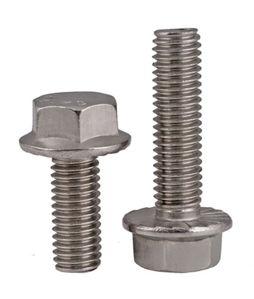 Wholesale Fasteners Stainless Steel SS304 SS316 Flange Bolt