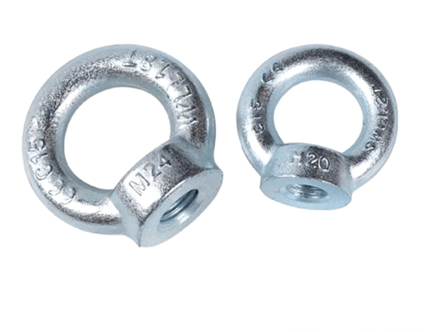 Hot Sale Stainless Steel Din582 No Standard M6 M8 M10 M12 Lifting Eye Nut 1