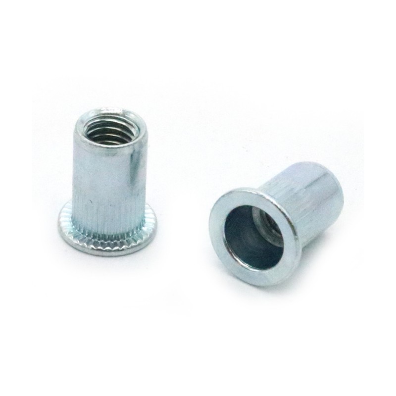 Grade 4.8 Zinc Plated Carbon Steel Rivet Nut