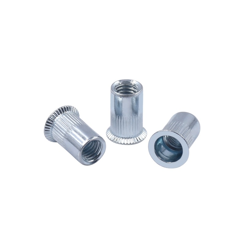 Grade 4.8 Zinc Plated Carbon Steel Rivet Nut 4