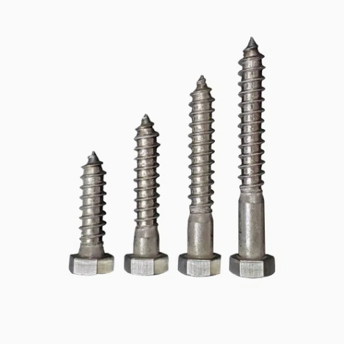 Stainless Steel 304/316 Hex Head Coach Screws Wood Lag Screw 2