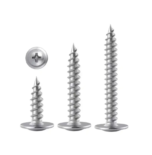 Stainless Steel 304 410 316 Modified Truss Head Self Tapping Screws and Tek Point Self Drilling Screws 3